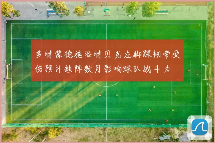 多特蒙德施洛特贝克左脚踝韧带受伤预计缺阵数月影响球队战斗力