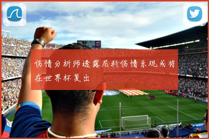 伤情分析师透露尼科伤情乐观或将在世界杯复出